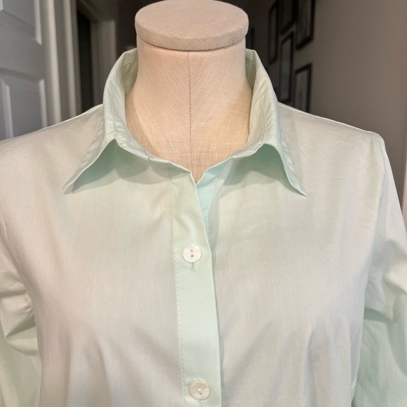 INAE collection light mint generous fit buttoned down long sleeve shirt dress - Picture 4 of 17